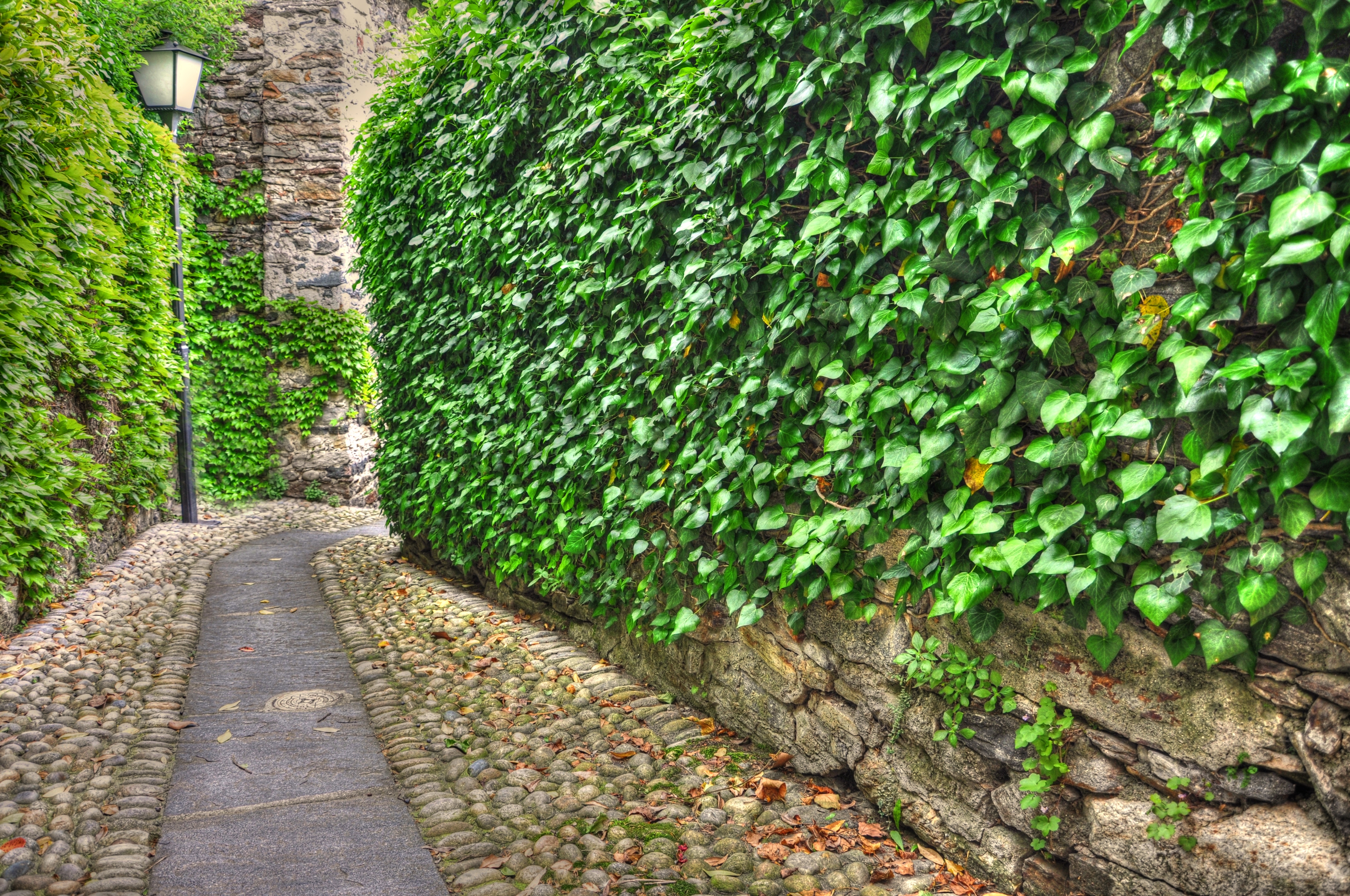 retaining walls mordialloc