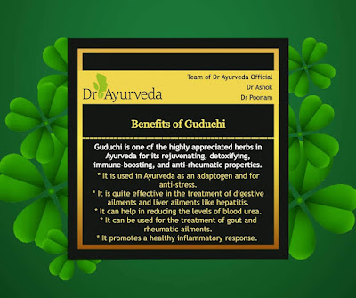Benefits of herb Guduchi by Dr Ayurveda