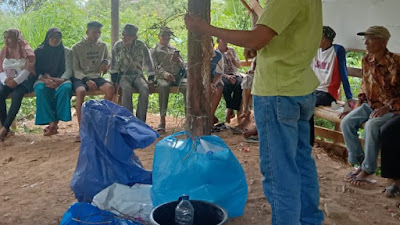 Berbahan Baku Putri Malu, Petani Solok Kendalikan Hama dan Penyakit Cengkeh secara Alami