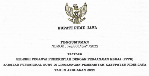 Rincian Formasi ASN PPPK Kabupaten Pidie Jaya Tahun 2022