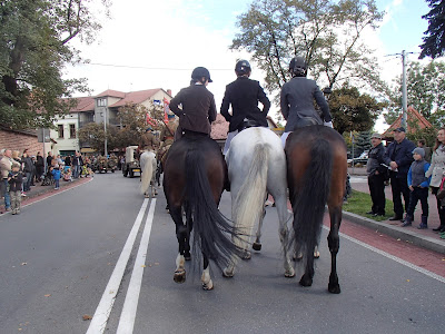 Pola Chwały 2015, niepolomice, defilada