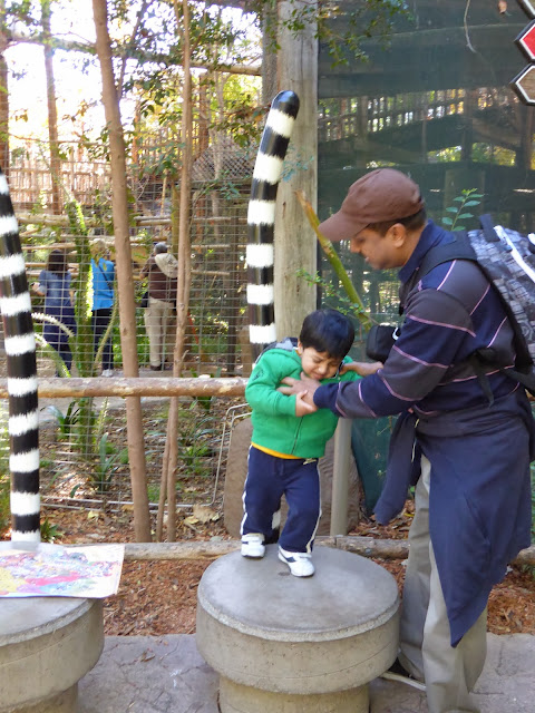 Not happy to take picture with Lemur tail on back