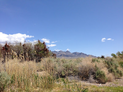 Corn Creek Field - www.curiousadventurer.blogspot.com