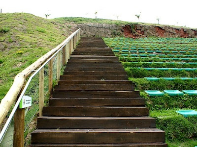 Profil Janguito Malucelli Eco-Stadium,Brazil