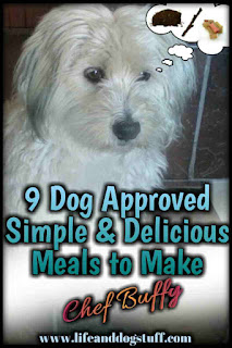 9 Dog Approved Simple and Delicious Meals to Make - Chef Buffy