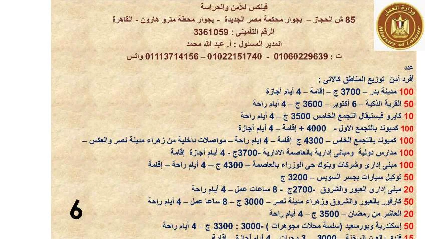 وزارة القوى العاملة تعلن عن  3717 فرصة عمل جديدة في 13 محافظة لمختلف التخصصات