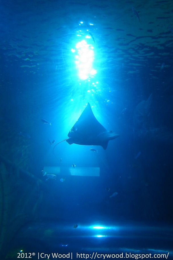 R0060505