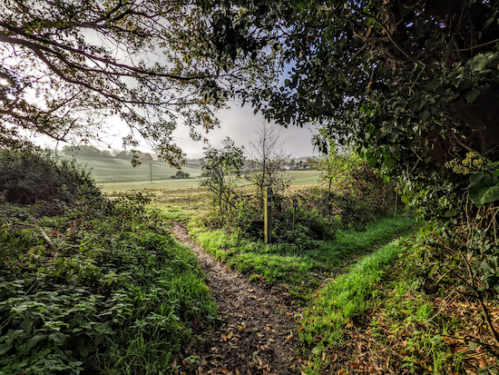 Keep left at the fork, still on Albury bridleway 33