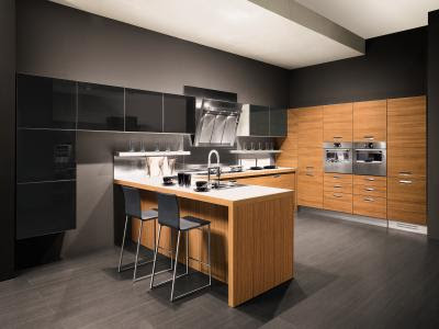 Modern Kitchen Cabinet Designs