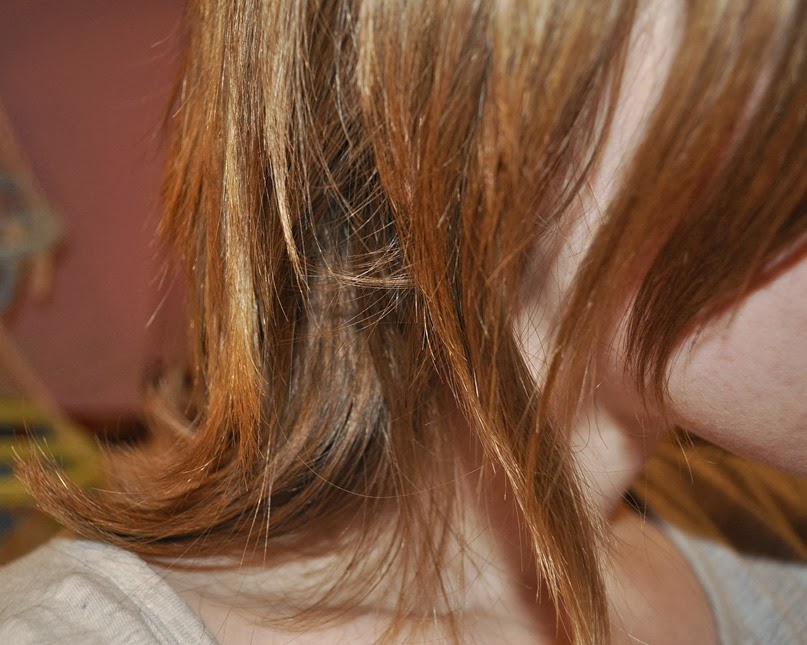moroccan oil review haircare after