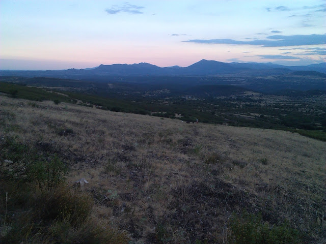 Habitat lobo, Serrada de la Fuente, Bajo Lozoya, excursiones, guía, Canis lupus signatus