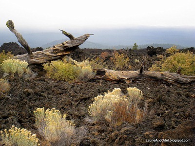 Lava at Lava Lands Visitor Center Lave in Newberry National Monument
