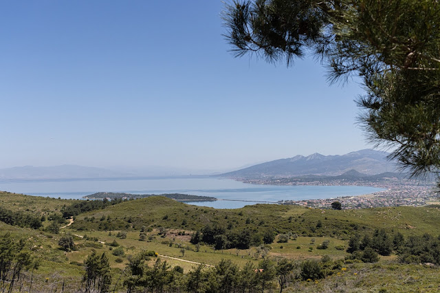 Ναός της Αφροδίτης ανακαλύφθηκε στη δυτική Τουρκία