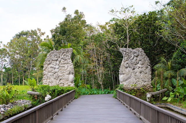 Monkey forest-Ubud-Bali