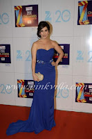 hot Sophie Chaudhary, Zee Cine Awards, 2013, blue sleeve strip dress, gown , sexy