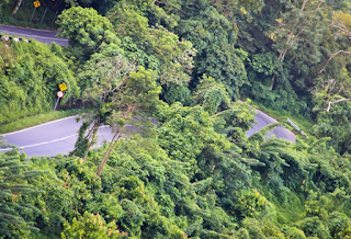 Travelling  - Gunung Gurute Aceh Indonesia