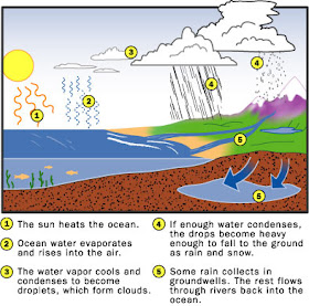 http://science.howstuffworks.com/nature/climate-weather/atmospheric/weather6.htm