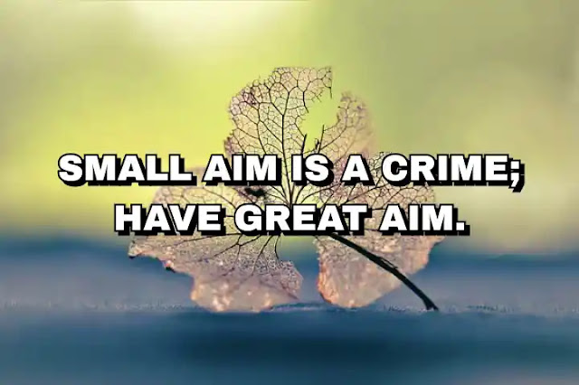 Small aim is a crime; have great aim.  A. P. J. Abdul Kalam