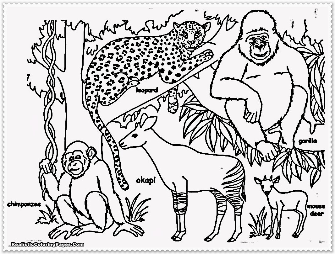Realistic Jungle Animal Coloring Pages  Realistic Coloring Pages