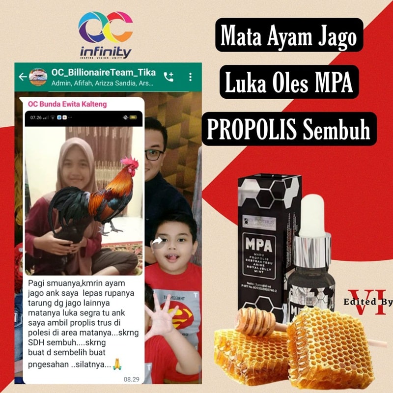mpa propolis untuk binatang-11