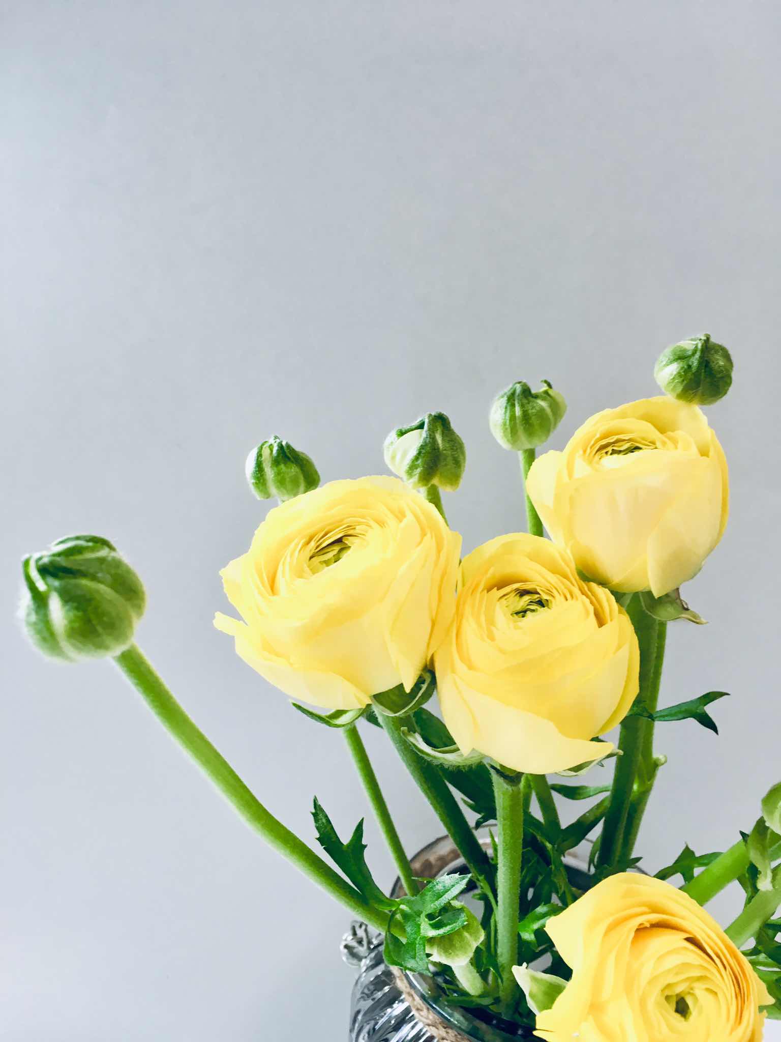 Sawaroma 爽やかなシトラスフローラルの香り レモンテマリ Ranunculus
