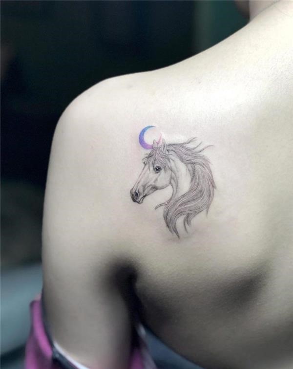 este_cavalo