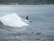 Dolphins are frequently spotted off the coast of Bruny Island you can see . (surfing)