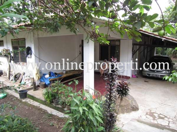 TANAH DIJUAL: Jual Tanah Kebun, Rumah, Rumah Walet, Kolam 