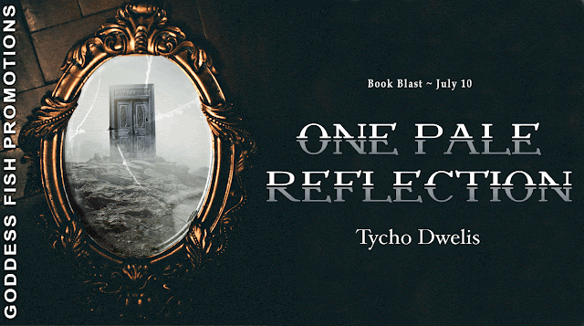 One Pale Reflection by Tycho Dwelis