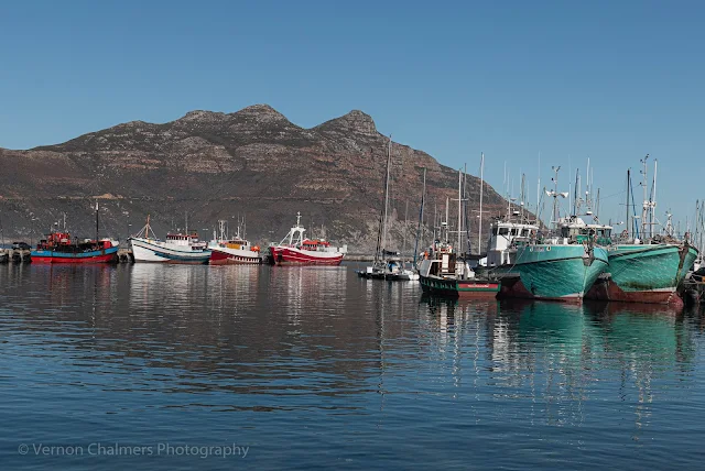 Colourful Fishing Boats Moored in the Hout Bay Harbour Cape Town