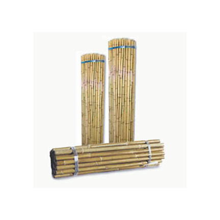 Bamboo Stakes4