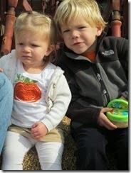 donnell farm 17 mo 055 - Copy