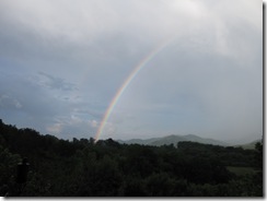  Bethel Rainbow