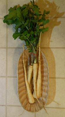 Basket of Parsnips with Greens