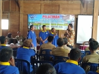 Peternak Sapi Desa Palon Dapat Pinjaman Modal Rp 2 5 Miliar Dari