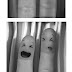 Photo Booth FiNGER ZiNE FRiDAY