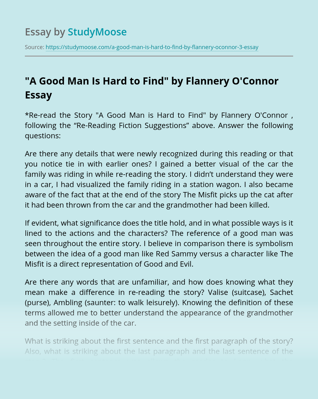 a good man is hard to find essays
