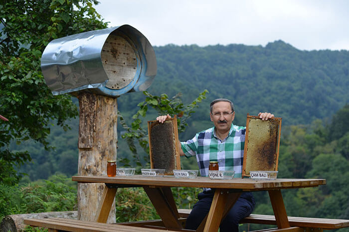 Bears Kept Stealing Honey From A Man's Bee Farm, So He Turned Them Into Honey Tasters