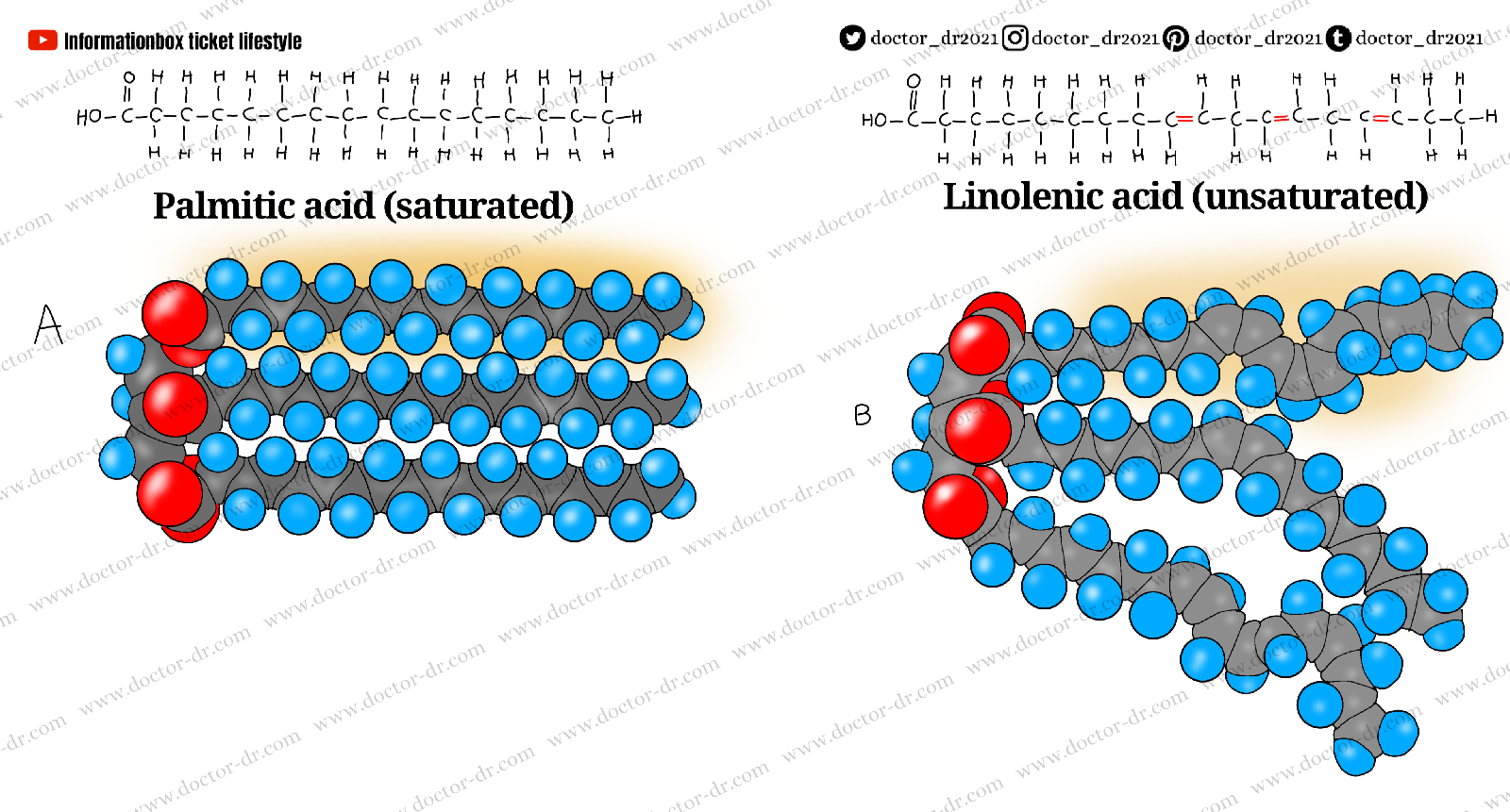 Unit 2: The Chemical Basis of Life - Lipids - Doctor-dr