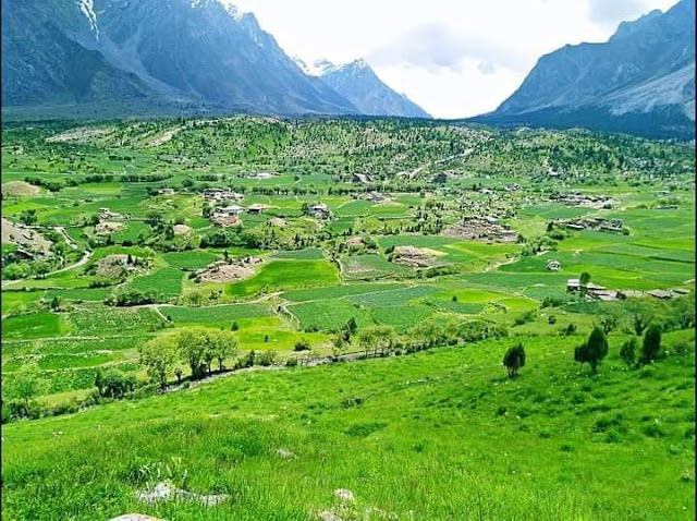 وادی بلامک کے سرسبز اور برف پوش چوٹیوں کا حسین مناظر Beautiful views of the lush and snow-capped peaks of the Blamek Valley