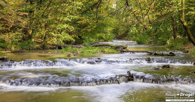 Rezerwat Szumy nad Tanwią