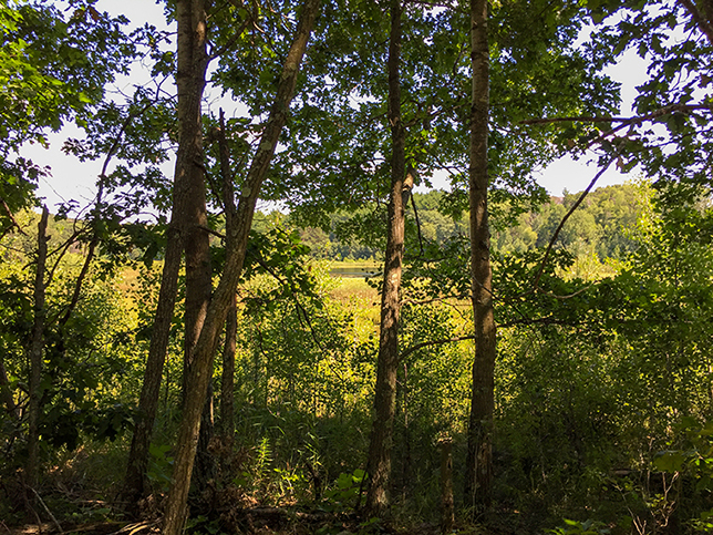 Ice Age Trail Bohn Lake Segment