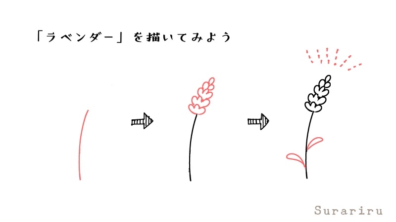 簡単なラベンダーの花のイラストの描き方 遠北ほのかのイラストサイト 簡単なラベンダーの花のイラストの描き方 遠北ほのかのイラストサイト