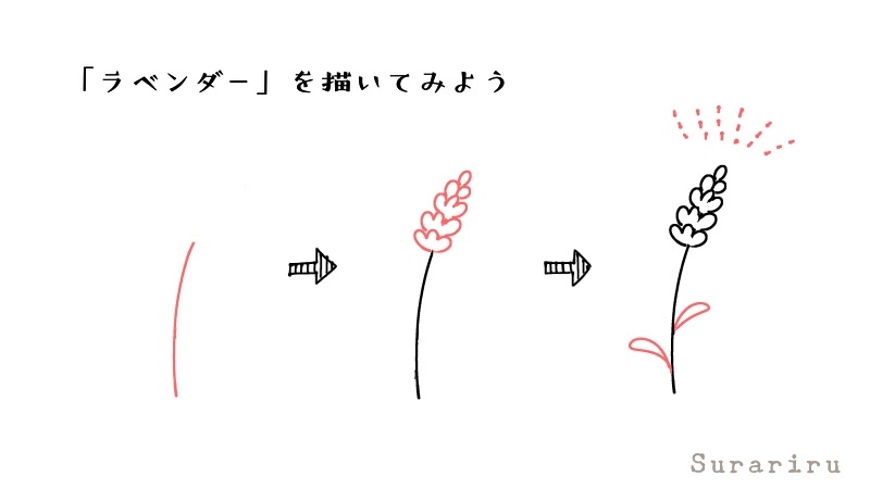 簡単なラベンダーの花のイラストの描き方 遠北ほのかのイラストサイト