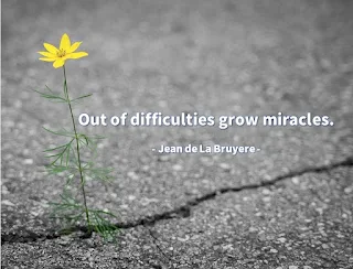 Finding Miracles in Adversity: Inspirational Quotes