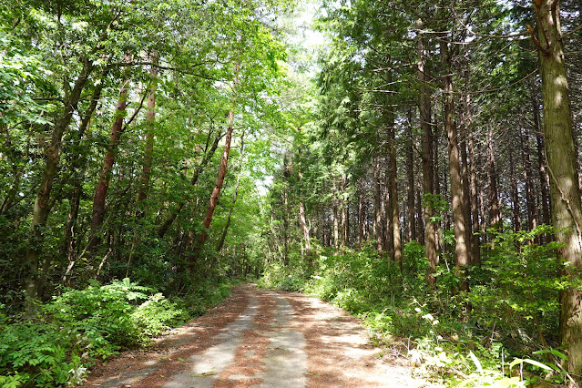 鳥取県西伯郡大山町赤松