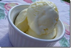 Lemon Custard Ice Cream