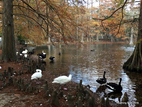 This area was really smelly!