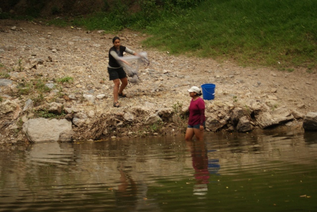 Diario de Campo: Estudio de Peces de Agua Dulcemuestreos en junio 2011