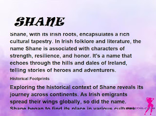 ▷ meaning of the name SHANE (✔)